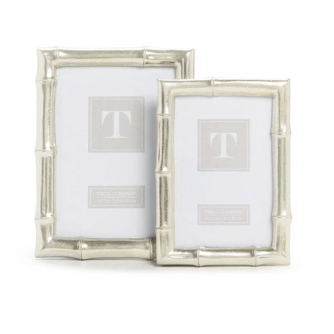 Medium Silver Bamboo Frame