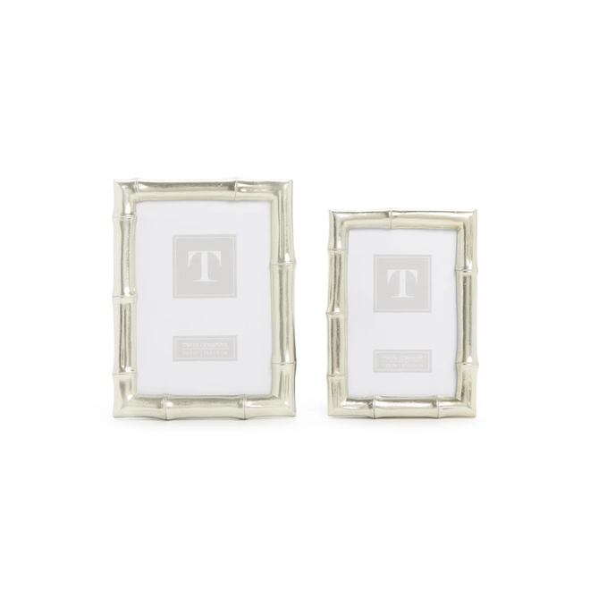 Medium Silver Bamboo Frame