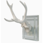 White Antler Double Glass Wall Mount - 7"H Size