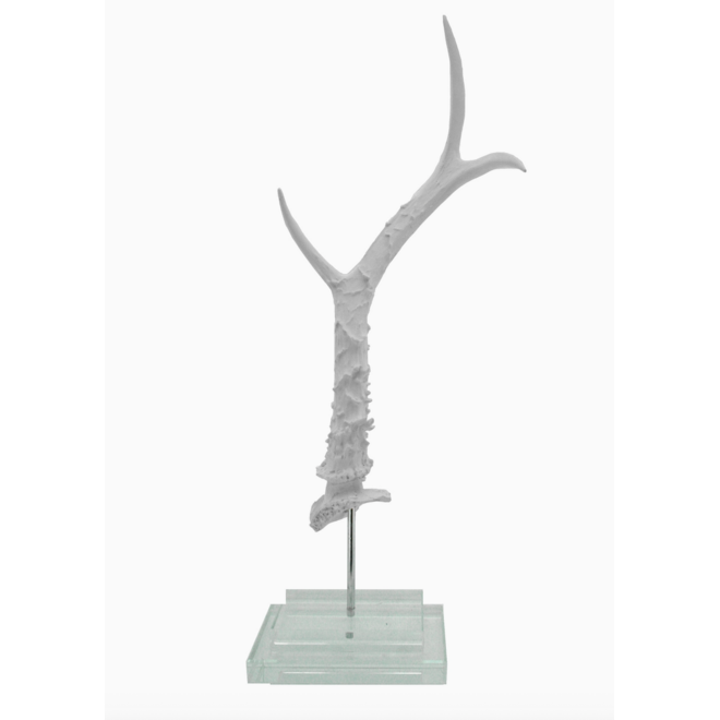 White Antler on Double Glass Base