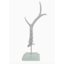 White Antler on Double Glass Base