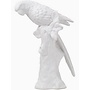 Ceramic Parrot