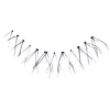 Monda Eyelashes Monda Eyelashes - MSL-502