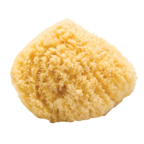 Natural Silk Sea Sponge - Medium size