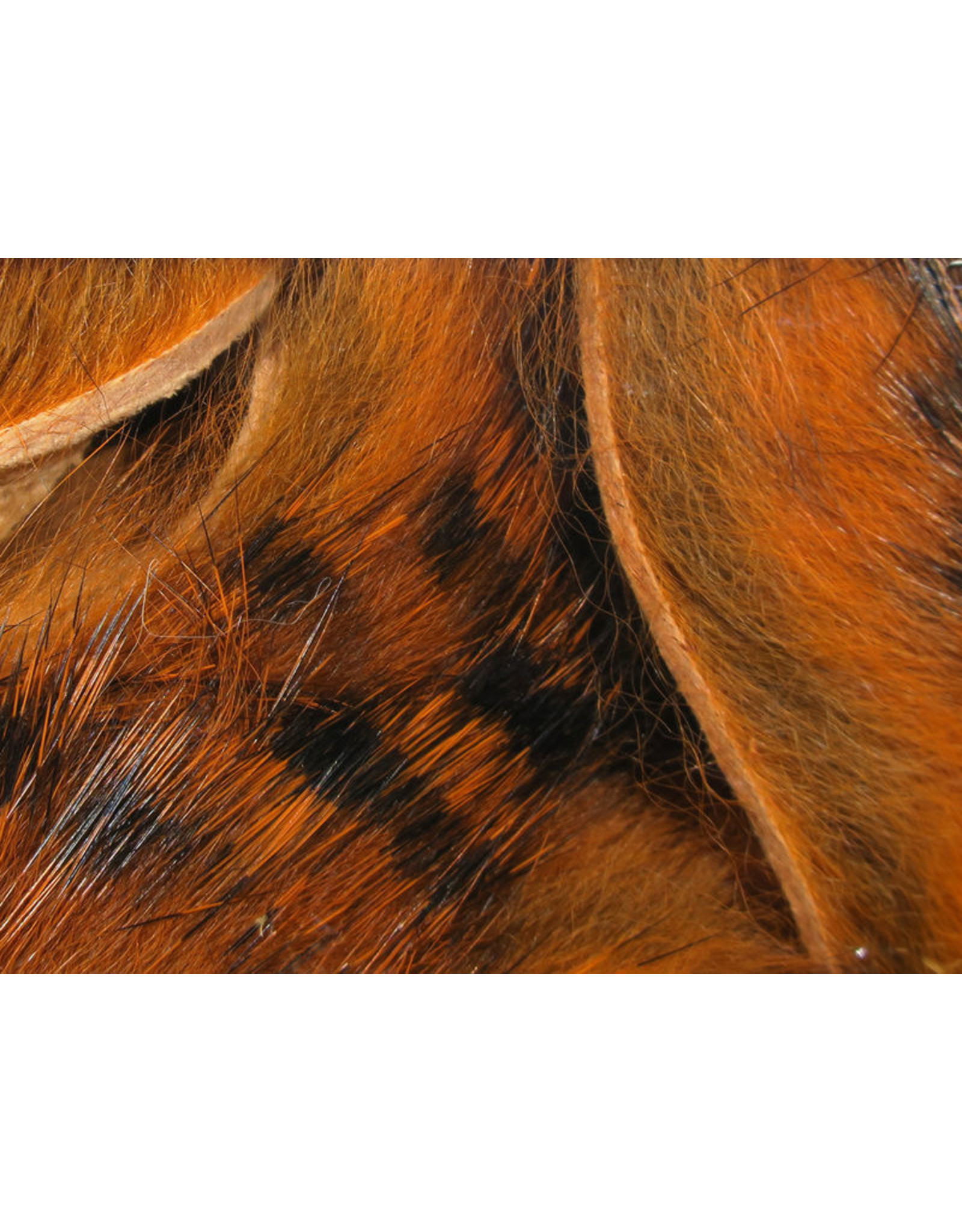 HARELINE Barred Magnum Rabbit Strips