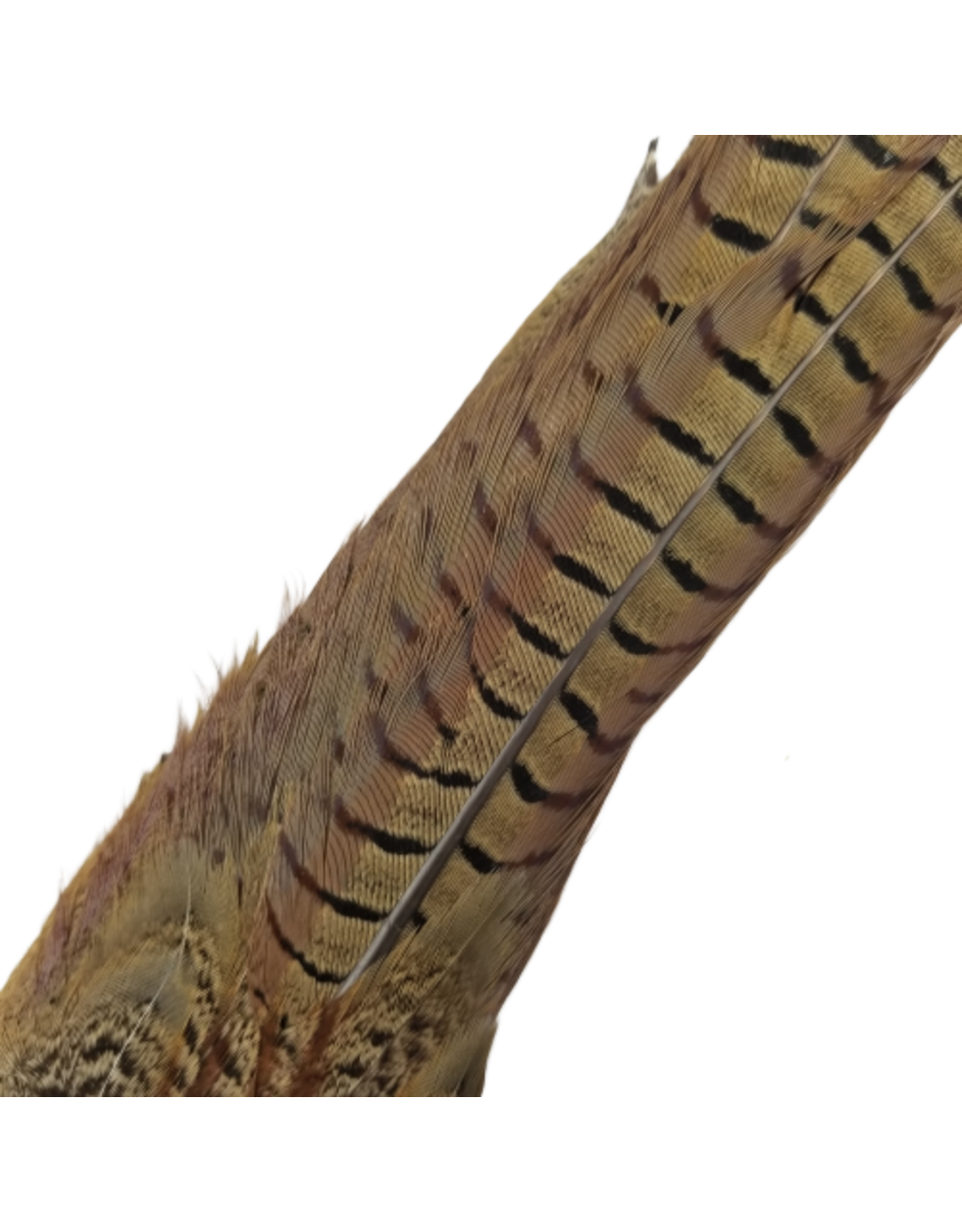 HOOK AND HACKLE Pheasant Tail Natural Pair