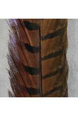 HARELINE Ringneck Pheasant Tail Feathers