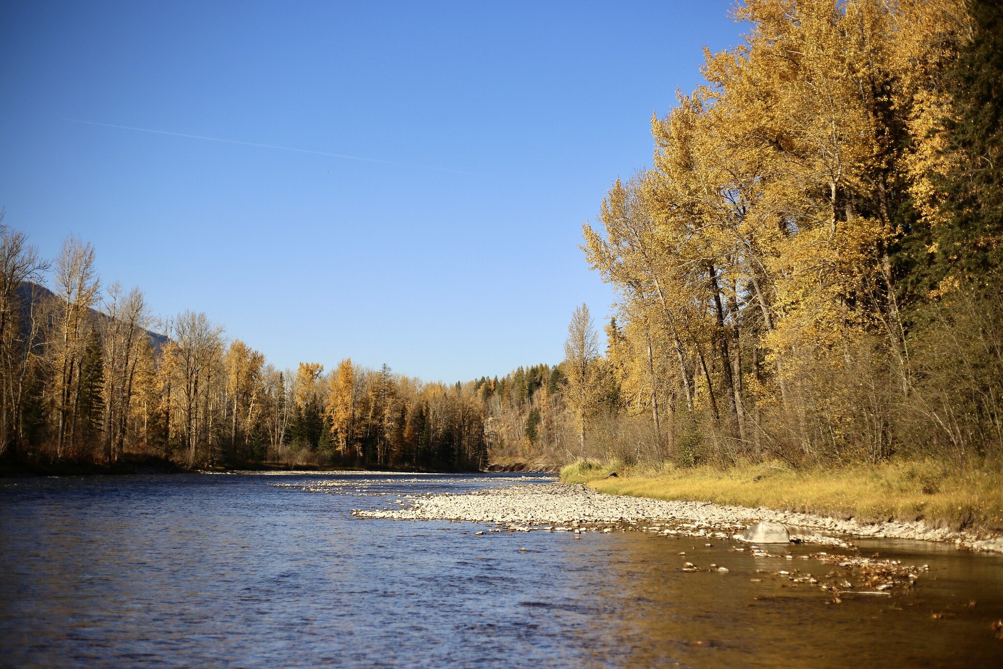 Kootenay Fly Shop & Guiding Company - Kootenay Fly Shop & Guiding