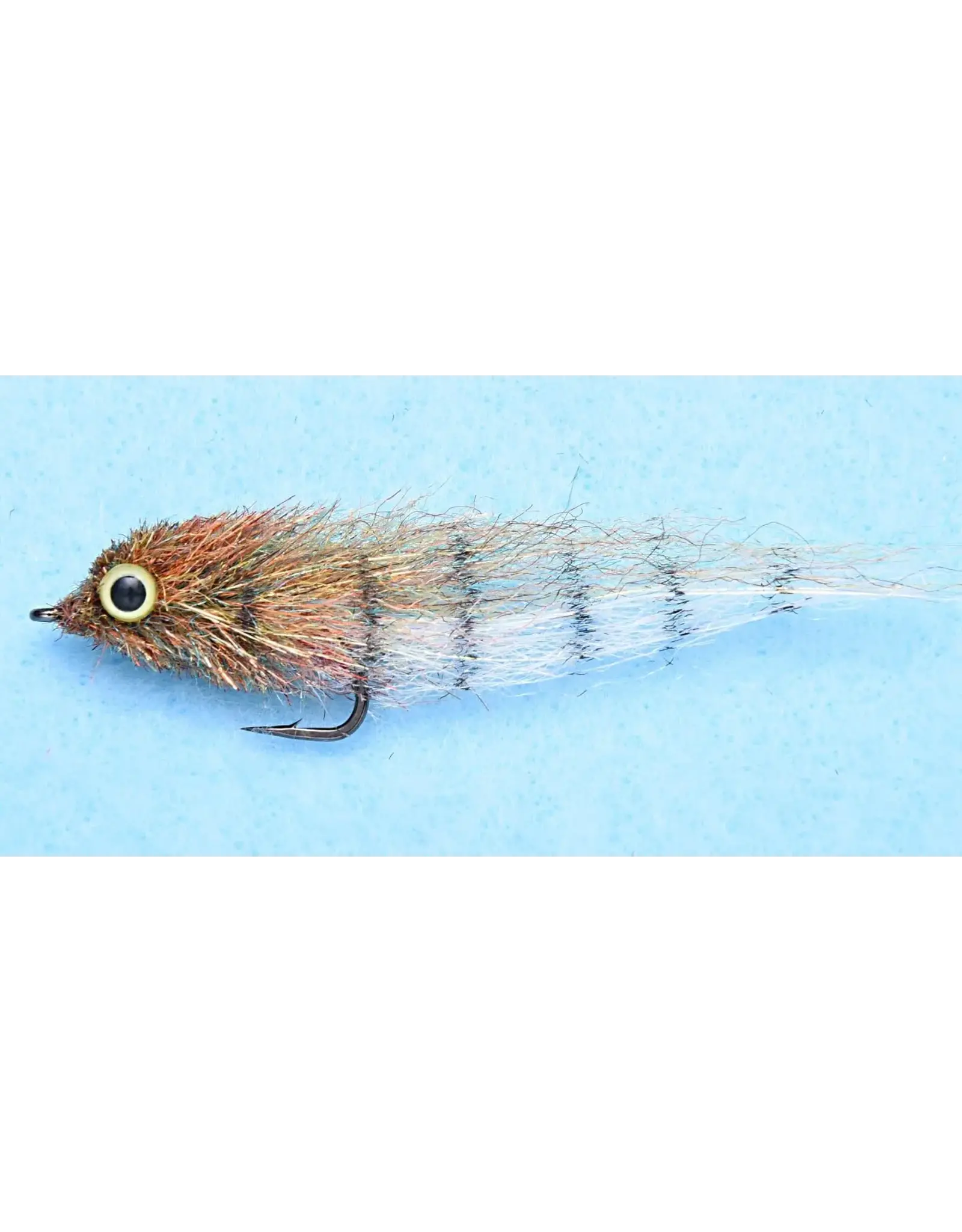 ENRICO PUGLISI LITTLE MINNOW SHADED Back Country #4