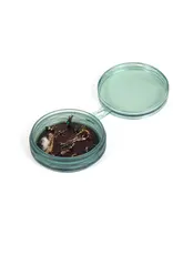 FISHPOND Fishpond Shallow MagPad Fly Puck
