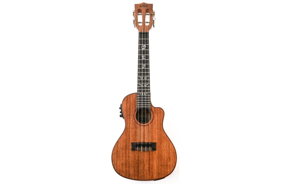 concert ukulele with amp