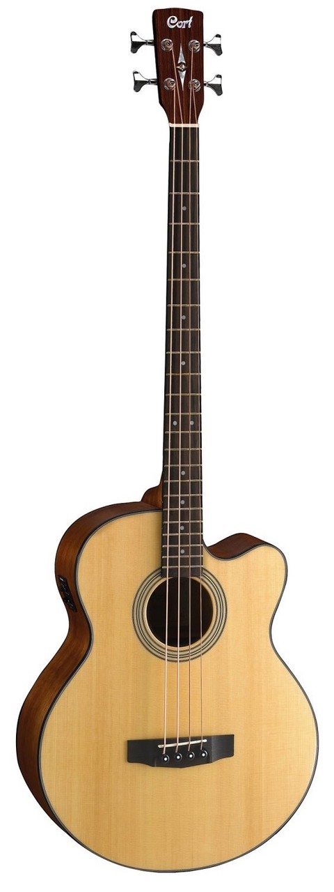 acoustic bass guitar near me