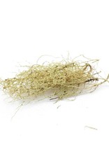 Golden Poppy Herbs Usnea, Wild-crafted, bulk/oz