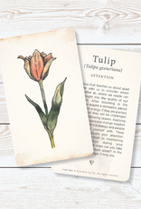 Golden Poppy Herbs Flora Healing Deck - Avec La Vie