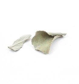 Golden Poppy Herbs White Ceremonial Sage, Wild-crafted, bulk/oz