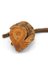 Golden Poppy Herbs Yerba Mansa, Wild-crafted, bulk/oz