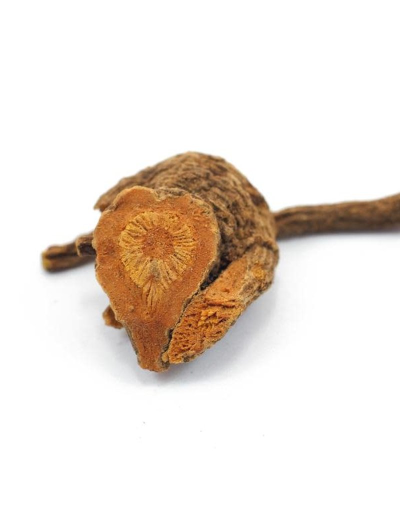 Golden Poppy Herbs Yerba Mansa, Wild-crafted, bulk/oz