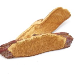 Golden Poppy Herbs Reishi Mushroom Slices, bulk/oz