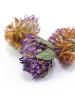 Golden Poppy Herbs Red Clover Blossoms organic, bulk/oz