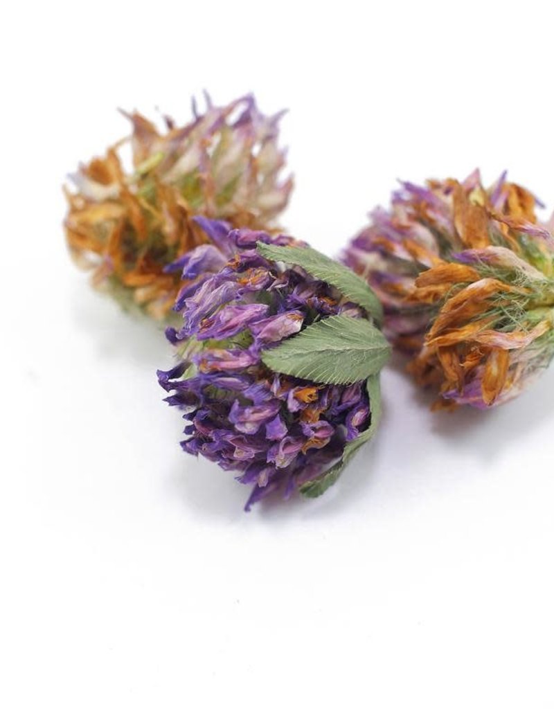 Golden Poppy Herbs Red Clover Blossoms organic, bulk/oz