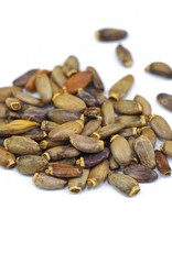 Golden Poppy Herbs Milk Thistle Seed organic, bulk/oz