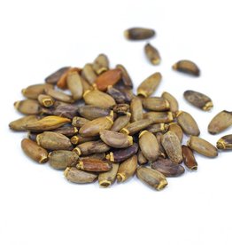 Golden Poppy Herbs Milk Thistle Seed organic, bulk/oz