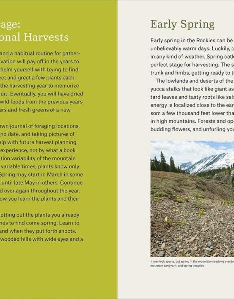 Golden Poppy Herbs Mountain States Foraging - Briana Wiles