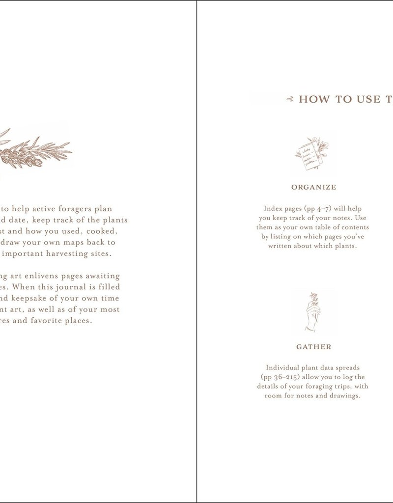 Gather: A Foraging Journal By Maggie Enterrios