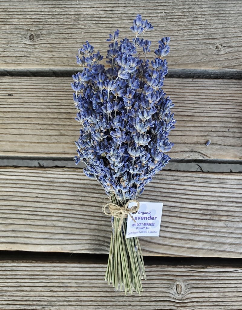 Golden Poppy Herbs Lavender Bundle - Organic (Wildcat Gardens)