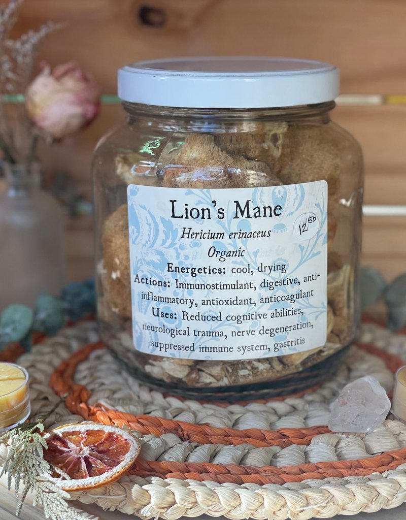 Golden Poppy Herbs Lion’s Mane Mushroom, dried bulk/ oz