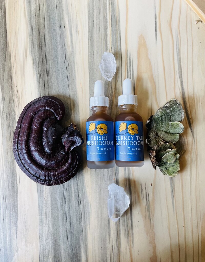 Golden Poppy Herbs Turkey Tail Mushroom Tincture 1 oz, Organic, Triple Extracted