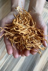 Golden Poppy Herbs Cordyceps, bulk/oz