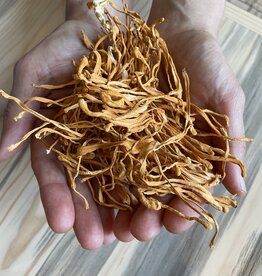 Golden Poppy Herbs Cordyceps, bulk/oz
