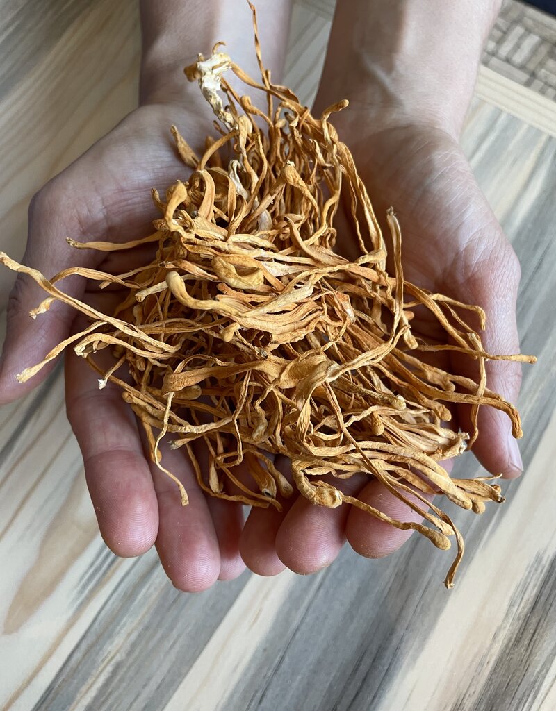 Golden Poppy Herbs Cordyceps, bulk/oz
