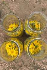 Golden Poppy Herbs Arnica Flower Infused Olive Oil, Wildcrafted, 1oz bottle