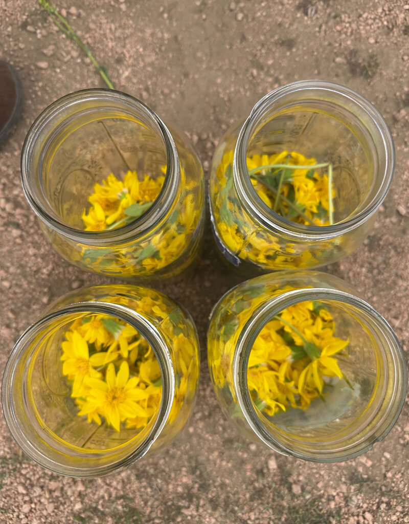 Golden Poppy Herbs Arnica Flower Infused Olive Oil, Wildcrafted, 1oz bottle