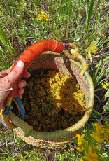 Golden Poppy Herbs Saint (St.) John's Wort Flower Infused Olive Oil, Organic, 1oz bottle