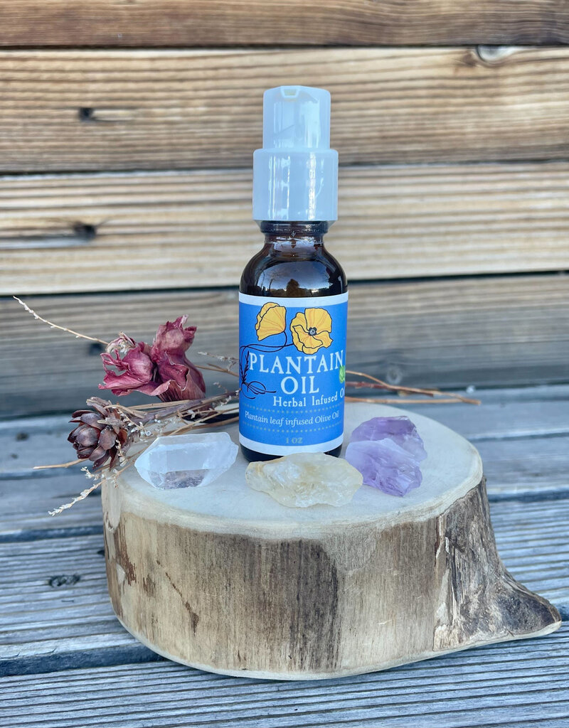 Golden Poppy Herbs Plantain Leaf Infused Olive Oil, Organic, 1oz bottle