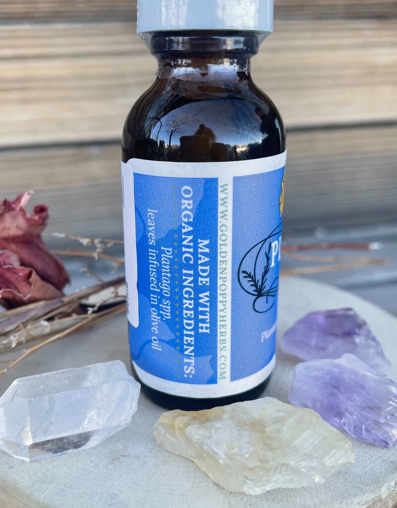 Golden Poppy Herbs Plantain Leaf Infused Olive Oil, Organic, 1oz bottle