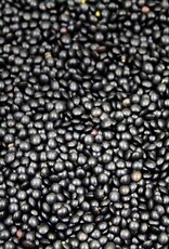 Timeless Natural Foods Timeless Black Beluga Lentils
