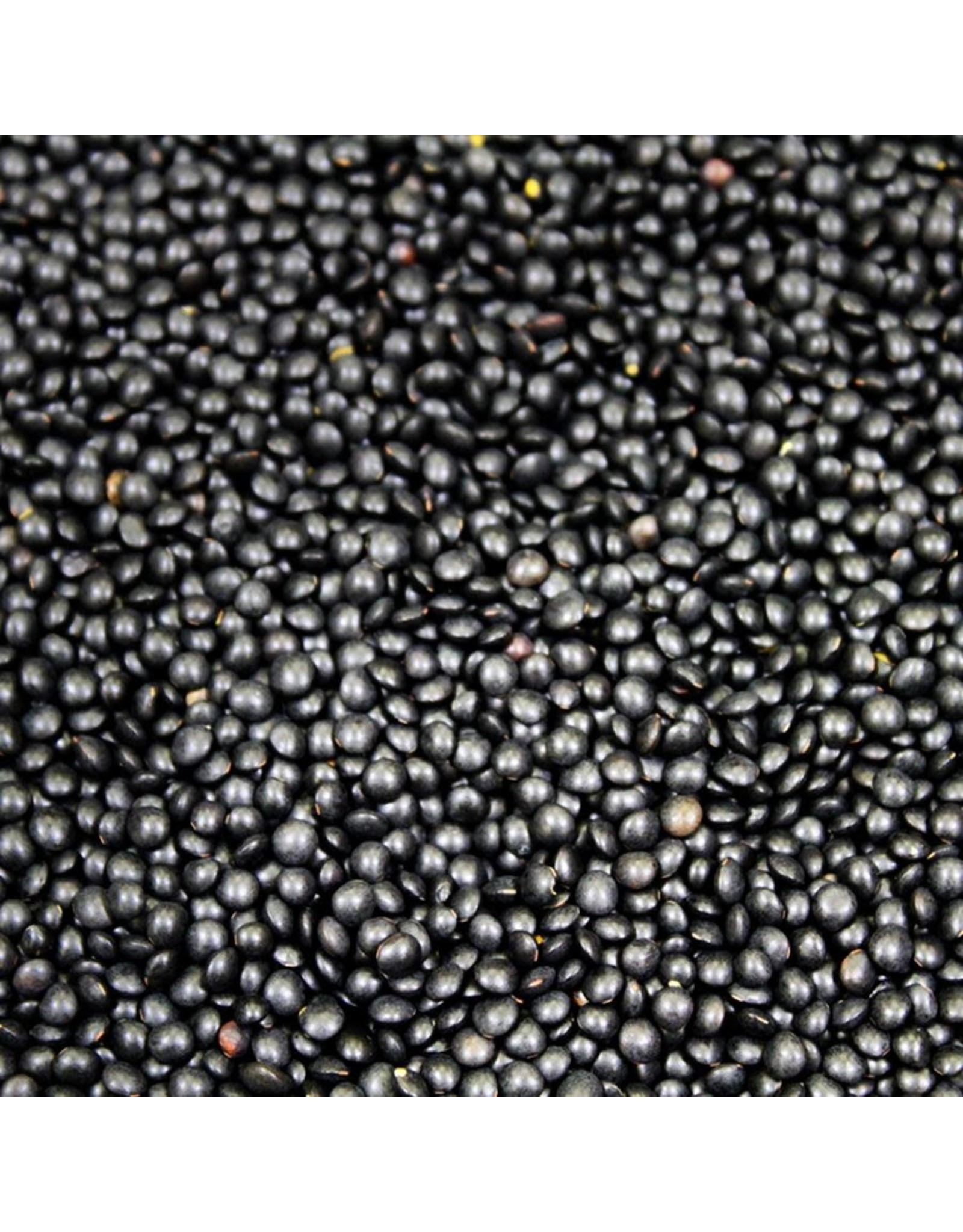 Timeless Natural Foods Timeless Black Beluga Lentils