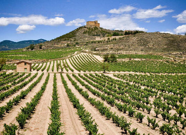 Ribera del Duero