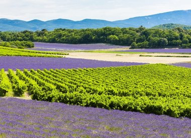 Provence, Languedoc, South of France