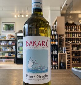 Bakari Skin-Contact Pinot Grigio, Venezie 2020