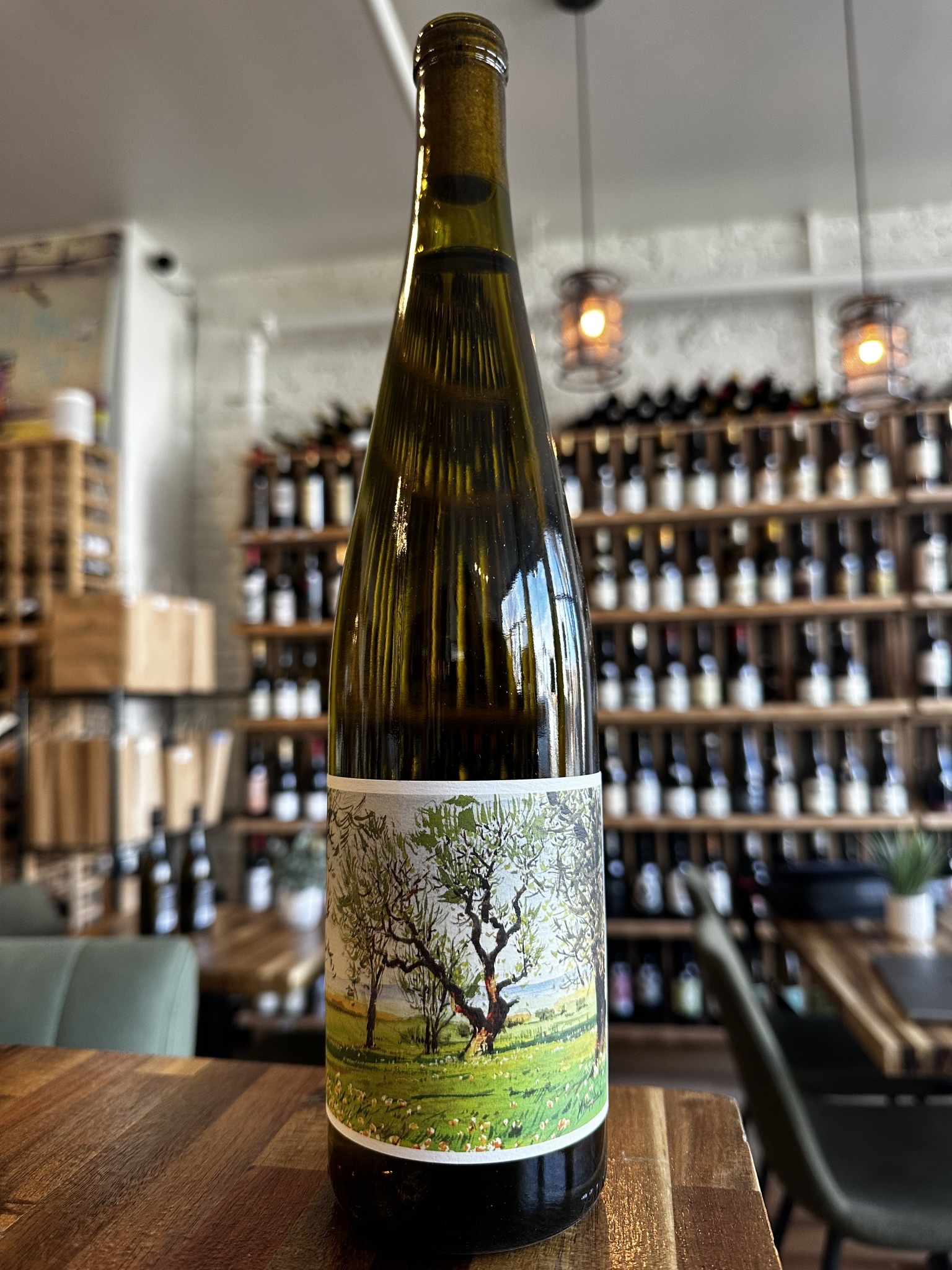 Johan Gruner Veltliner 2021 Bottle House
