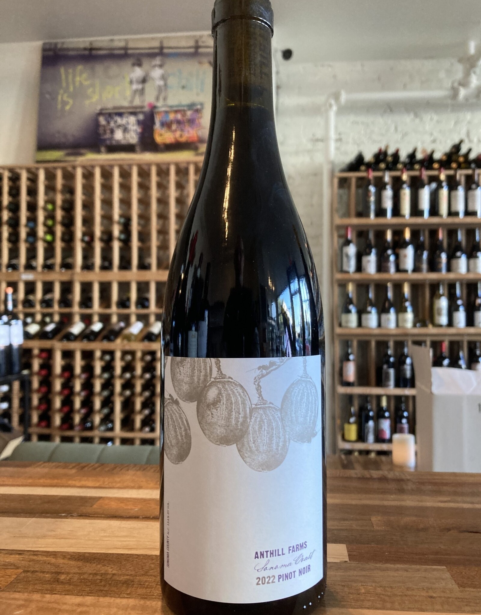 Anthill Farms Anthill Farms Pinot Noir, Sonoma Coast 2022