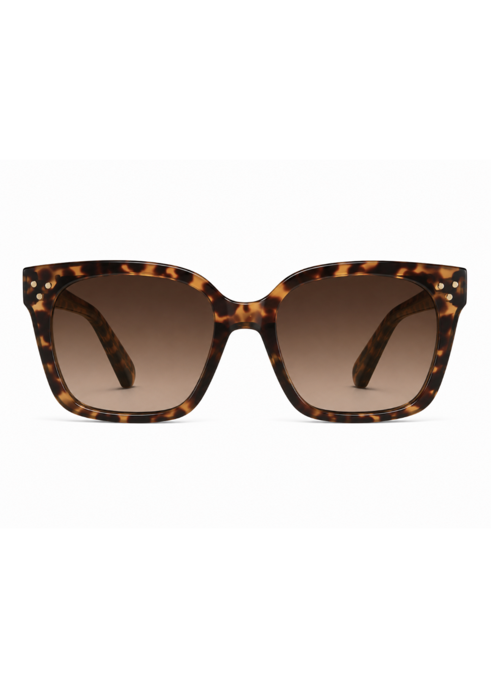 Polarized Sunglasses
