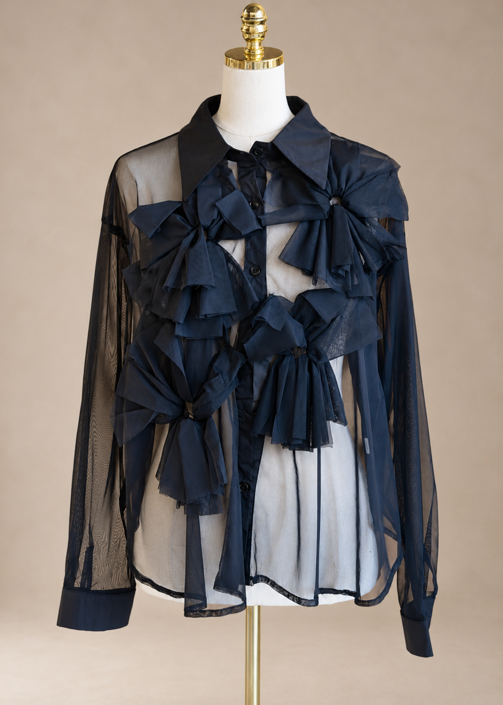 Ruffle Sheer Blouse