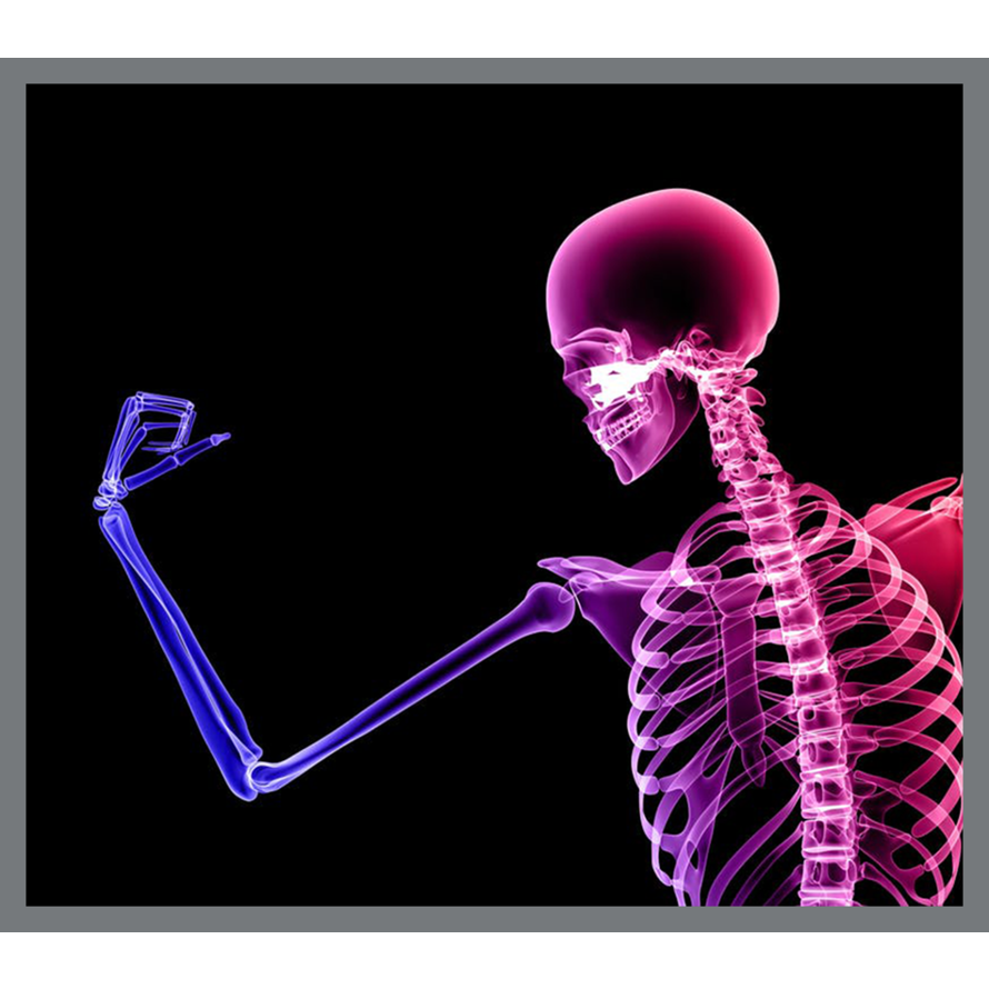 Bone and Joint Health