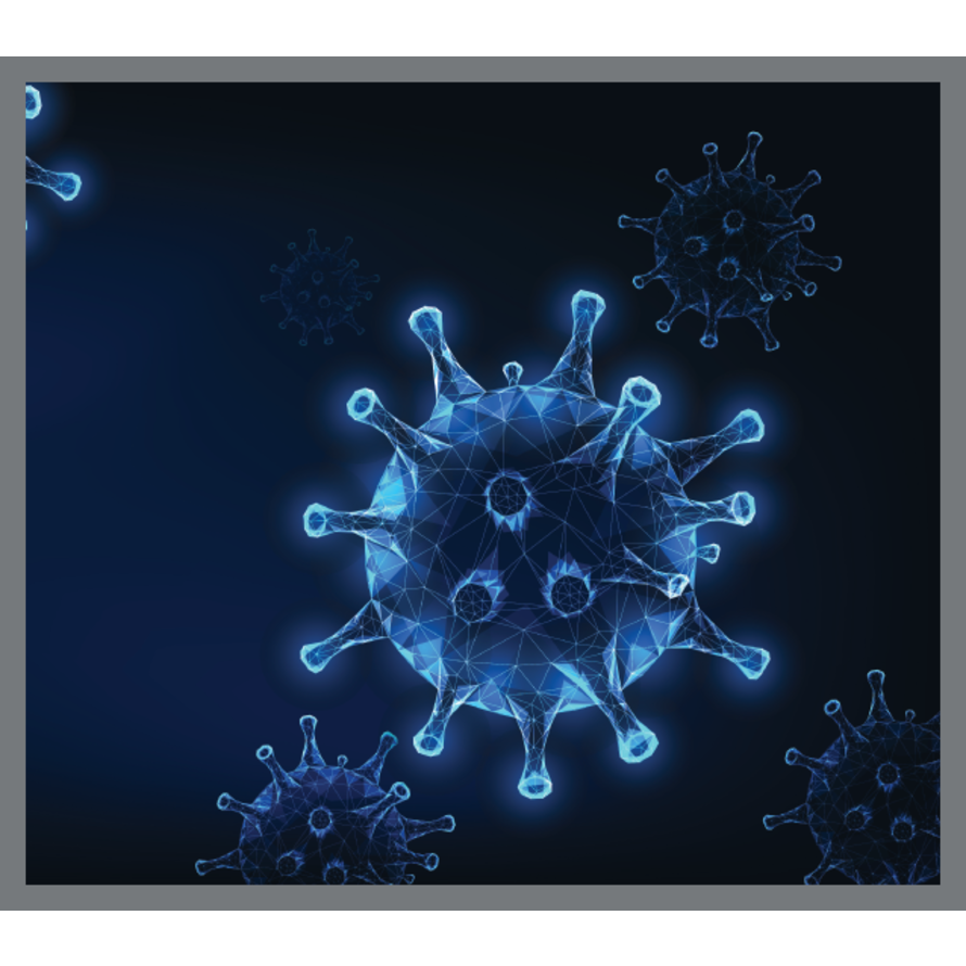 Top Ten Best Immune Support